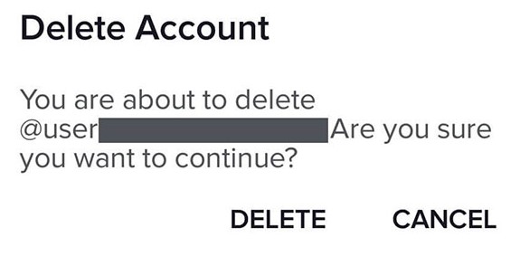 TikTok delete account